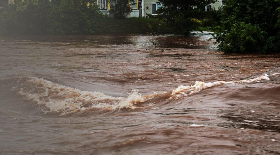 Why Choose Best Leak Detection Company